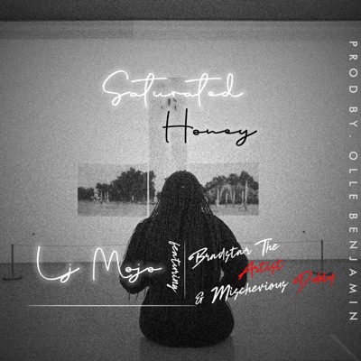 Saturated Honey (feat. Bradstar the Artist & Mischevious Dubly) - Single