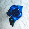 blueeyes/atlantic (feat. Subvrbs) - Single