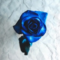 blueeyes/atlantic (feat. Subvrbs) - Single - oc