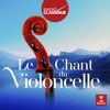 Douglas Boyd 14 Romances, Op. 34: No. 14, Vocalise (Transcr. Leon for Cello and Orchestra) Le chant du violoncelle (Radio Classique)