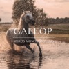 Gallop artwork