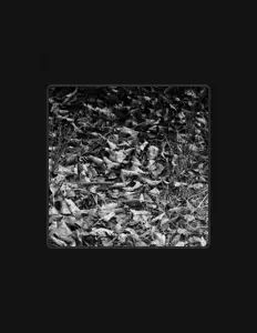 Weekend Obscur을(를) 듣고, 뮤직 비디오를 보고, 약력을 읽고, 투어 일정 등을 확인하세요!