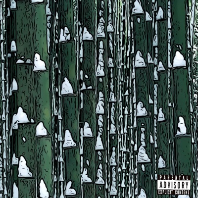 Bamboo