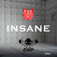 Insane (feat. Kupp) - Single - Desert Dog