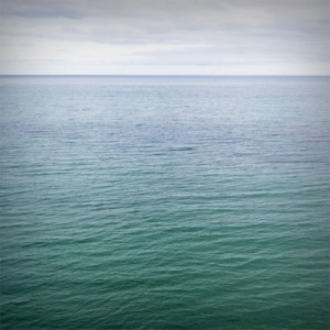 The Soft Underbelly of Love - Single