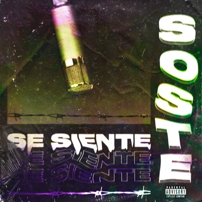 Se Siente - Single