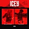 Icey (feat. Destroy Lonely) - Nessazary lyrics