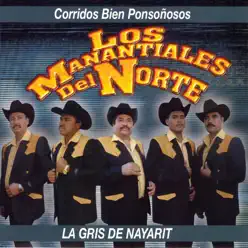 La Gris de Nayarit - Manantiales Del Norte