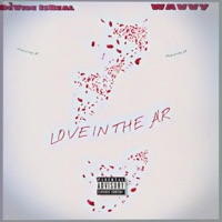 Love In the Air (feat. BWavvy) - Single - DeVibe IsReal