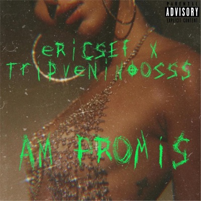 Am Promis (feat. Tripveninoosss) - Single