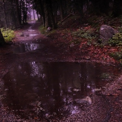 Zombieland! - Single