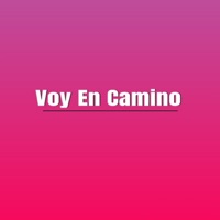 Voy en Camino - Single - Ivonne Galaz