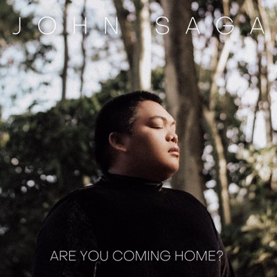 Are You Coming Home? - Single