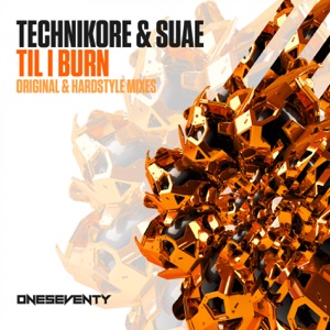 Til I Burn - EP