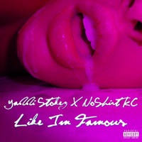 Like I'm Famous (feat. NoShirt KC) - Single - Yaddi Stokez