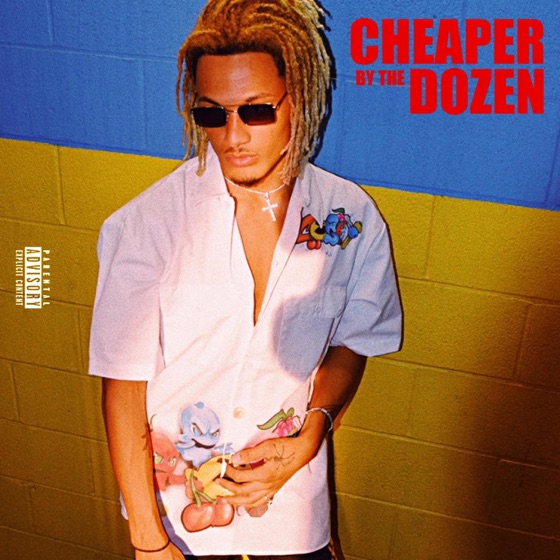 Cover artwork for Cheaper by the Dozen
