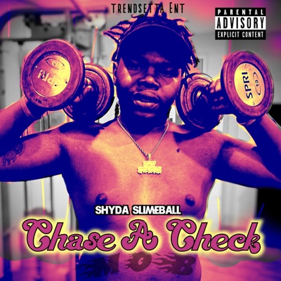 Chase a Check - Single