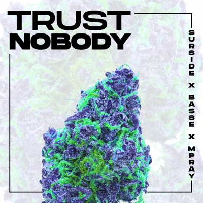 Trust Nobody (feat. Basse & Mpray) - Single
