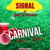 Carnival In Meh Yard (feat. Signal & GUNZ DESPERADO) - Single - Riddim & Vibez