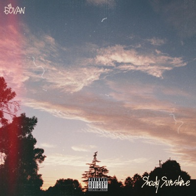 Shady Sunshine - Single