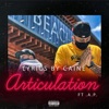 Articulation (feat. A.P.) - Single