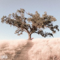 Comfortable Low - Single - Blai$y