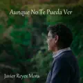 Aunque no te pueda ver