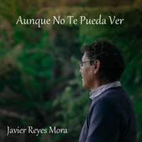 Aunque no te pueda ver