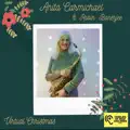 Virtual Christmas