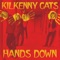 Carousel - Kilkenny Cats lyrics