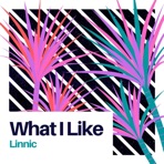 What I Like - Single
