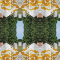 Terms of Agreement - Single - J. Diceman