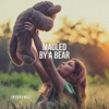 Interswez - Mauled by a Bear
