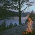 Firefly