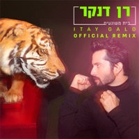 בית משוגעים (Itay Galo Remix) - Single - Ran Danker & Itay Galo