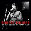 Robert Palmer