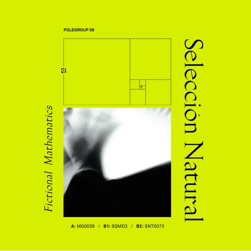 Fictional Mathematics - Single by Seleccion Natural