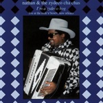 Nathan & The Zydeco Cha-Chas - Tout Partout