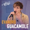 Guacamole by Evandro iTunes Track 1