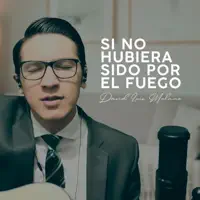 Si no hubiera sido por el fuego — David Luis Molano