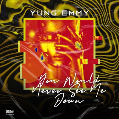 You Would Never See Me Down - Single