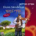 קלי