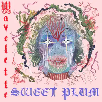 Sweet Plum album cover