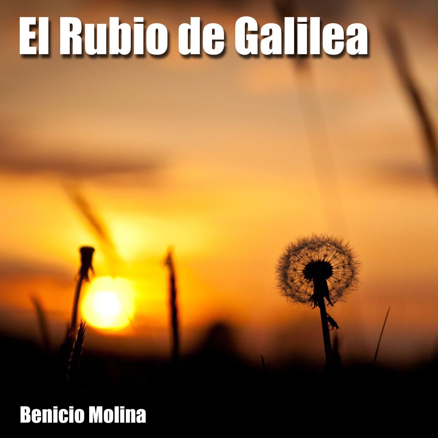 BENICIO MOLINA - EN EL ALTAR DE DIOS (Coro)