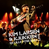 This Is My Life (Live at Danmarks Turné, Denmark 2006) artwork