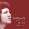 Cheh sabooreh del e man (feat. Simin Ghanem) - Delkook lyrics