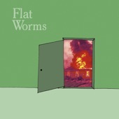 Flat Worms - Circle