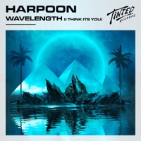 Wavelength (I Think It's You) - Single - Harpoon