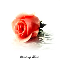 Wanting More - Ken