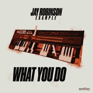 What You Do (feat. Example) [Instrumental Mix]